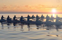 Дванадцять людей веслують на заході сонця — стокове фото