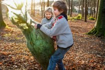 Zwei Jungen halten Weihnachtsbaum im Wald — Stockfoto