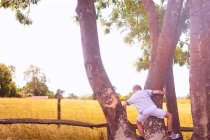 Rear view of boy climbing tree in field — Stock Photo