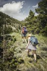 Vista posteriore di adolescente e giovane escursionista femminile escursioni in montagna, Red Lodge, Montana, Stati Uniti — Foto stock