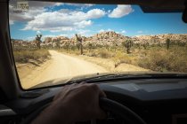 Driver's hand on wheel of car, Joshua Tree National Park, California, US — стокове фото