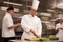 Chef che preparano cibo in cucina commerciale — Foto stock