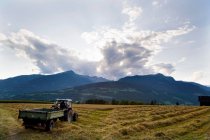 Farmer on tractor harvesting oat — Stock Photo