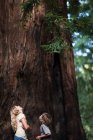 Deux enfants regardant un arbre — Photo de stock