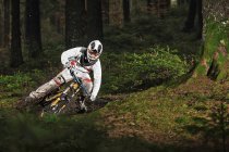 Гірський велосипедист їде на брудній лісовій доріжці — стокове фото