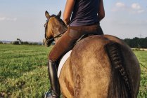 Abgeschnittene Aufnahme einer Frau, die auf einem braunen Pferd im Feld reitet, Rückansicht — Stockfoto