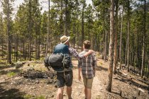 Rear view of father with hand on sons shoulder trekking through forest, Red Lodge, Montana, USA — Stock Photo