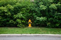 Feuerwehrhydrant am Fahrbahnrand — Stockfoto