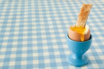 Boiled egg and toast — Stock Photo
