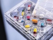 Investigación farmacéutica, variedad de medicamentos médicos en una bandeja de múltiples pozos para pruebas de laboratorio - foto de stock