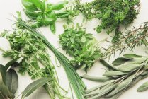 Variety of fresh picked herbs on white surface — Stock Photo