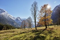 Sunlit landscape with distant snow capped mountains — Stock Photo