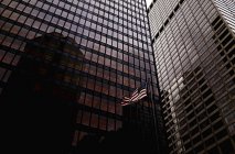 Низький кут зору офісних будівель, Бруклін, Нью-Йорк, США — стокове фото