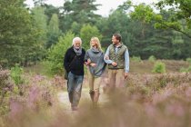 Senior man, mid adult man and woman walking through forest — Stock Photo