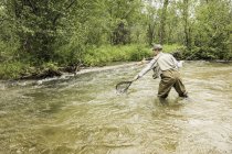 Vista trasera de la rodilla del hombre profundo en el río con vadeadores usando red de pesca en el río - foto de stock