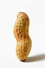 Inteiro casca de amendoim ereta no fundo branco — Fotografia de Stock