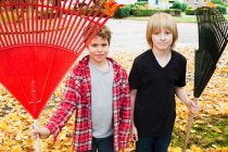 Два мальчика держат грабли — стоковое фото