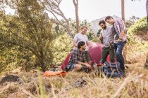 Four male friends chatting in forest camp, Deer Park, Cape Town, South Africa — Stock Photo
