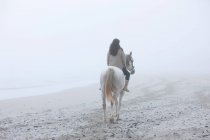 Visão traseira da mulher equitação cavalo na praia — Fotografia de Stock