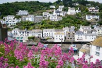 Aerial view of Polperro in cornwall — Stock Photo