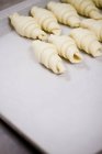 Masa enrollada en la hoja de galletas - foto de stock