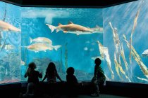 Діти спостерігають за рибою в акваріумі — стокове фото