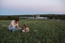Отец и дочь на ферме, ухаживают за урожаем — стоковое фото