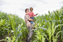 Agricultor e filho no campo de culturas — Fotografia de Stock