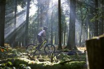 Feminino mountain biker ciclismo através do raio de sol iluminado Floresta de Dean, Bristol, Reino Unido — Fotografia de Stock