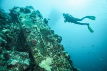 Mergulhador examinando recifes subaquáticos — Fotografia de Stock