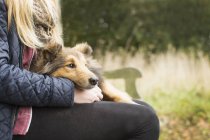 Detalle de la adolescente sentada en el banco del país con el perro - foto de stock