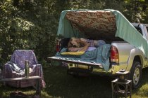 Giovane donna baciare fidanzato in pick up stivale mentre il campeggio — Foto stock