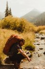 Homme portant un sac à dos, assis près d'un ruisseau, Mineral King, Sequoia National Park, Californie, États-Unis — Photo de stock