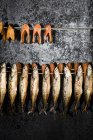 Копчений лосось і оселедець — стокове фото