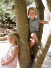 Brother and sister climbing tree — Stock Photo