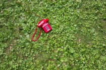 Telefone retro vermelho na grama greeb exuberante — Fotografia de Stock
