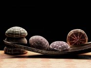 Sea shells on table — Stock Photo