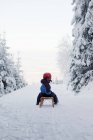 Young boy on sled — Stock Photo