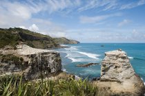 Costa con rocce gannet a Muriwai Beach — Foto stock