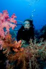 Mergulhador em meio a corais macios. — Fotografia de Stock