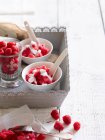 Bowls of raspberry sorbet — Stock Photo