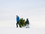 Padre e figlio che portano l'albero di Natale — Foto stock