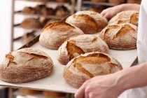 Mains masculines portant plateau de pain frais cuit dans la cuisine — Photo de stock
