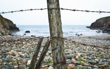 Barbed wire fence — Stock Photo