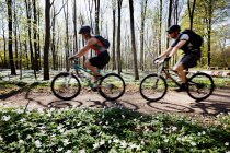 Coppia mountain bike insieme — Foto stock