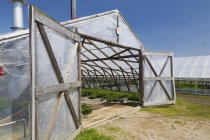 Opened doors on a wooden framed commercial greenhouse with plants being grown in containers for sale to distributors and the public in spring, Quebec, Canada — Stock Photo