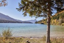 Veduta panoramica del lago di Walchen — Foto stock
