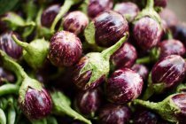 Фиолетовый индийский овощ на продажу — стоковое фото