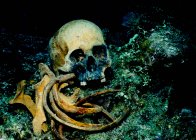 Closeup shot of human skull and bones underwater on shipwreck — Stock Photo