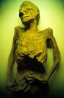 Високий кут зору мертвої муміфікованої людини — стокове фото